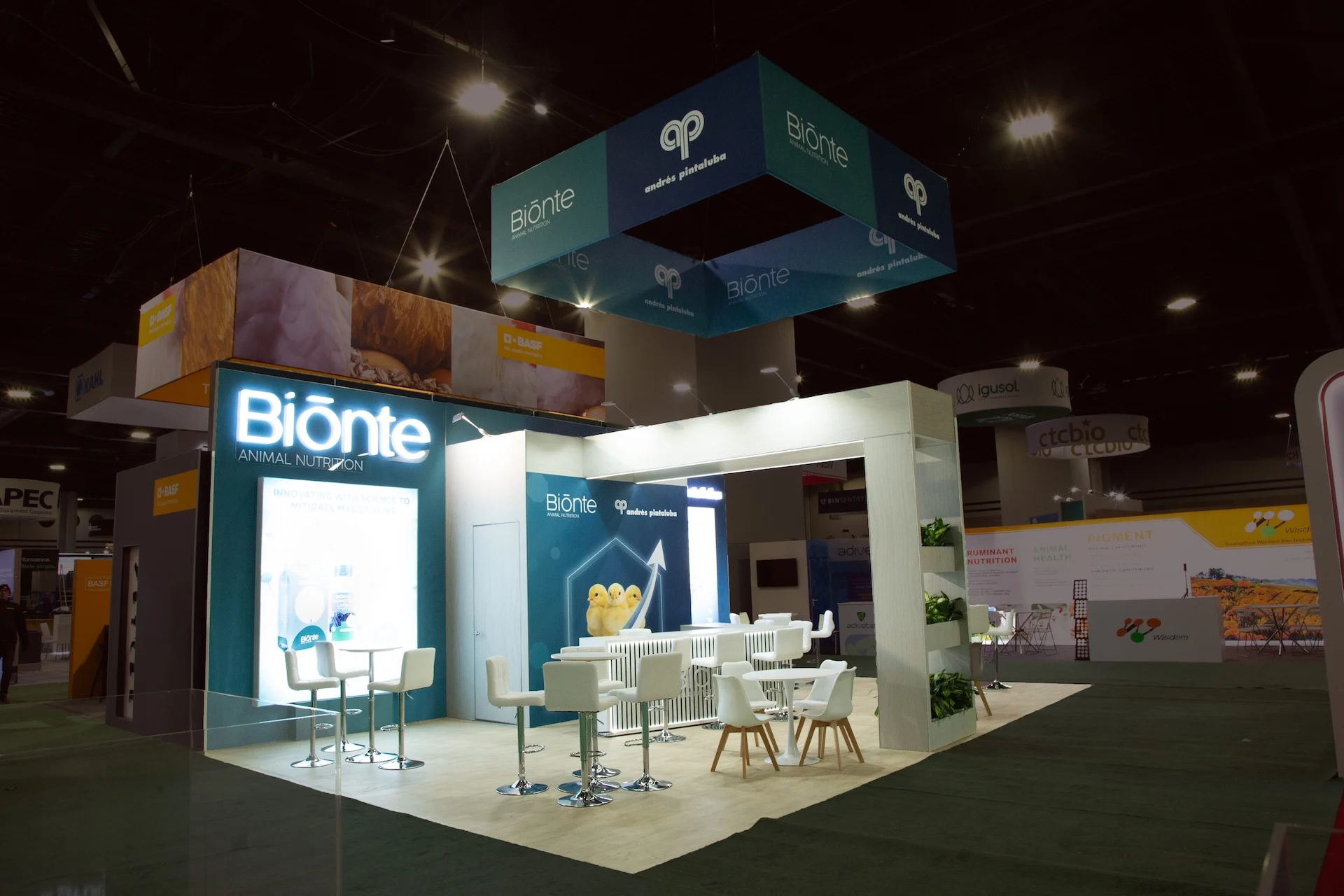 bionte-ippe-02